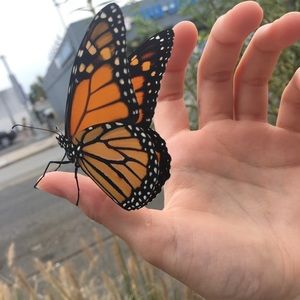 Meet your Posher, Arianna